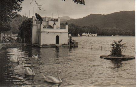 POSTAL PV03694: Cisnes en el lago de Bañolas