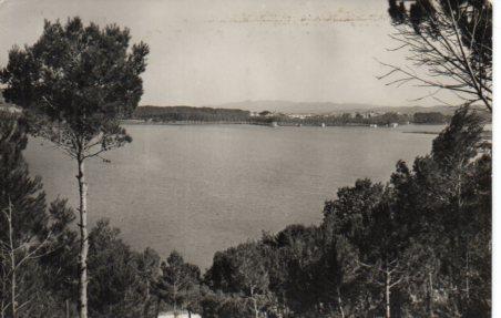 POSTAL PV03692: Bañolas el Lago vista parcial