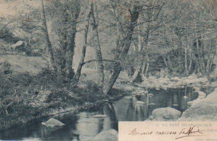 POSTAL PV03631: La Riera de Sant Hilari Sacalm 