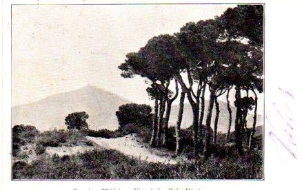 POSTAL PV03804: Vista de San Pedro Martir, Tibidabo (Barcelona)