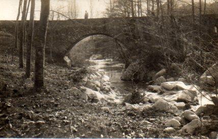 POSTAL PV03486: Puente en Arbucias, Gerona