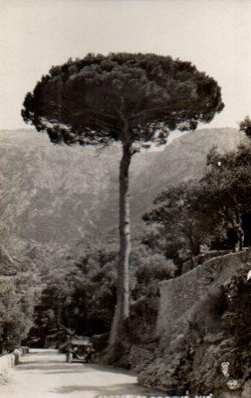POSTAL PV03455: Carretera de Deya
