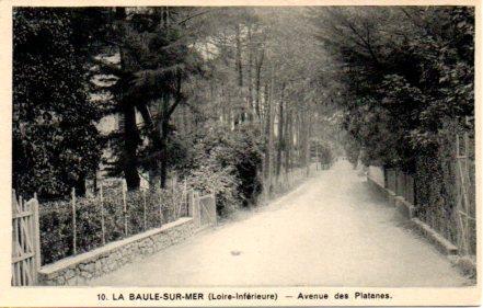 POSTAL PV03577: Avenue des Platanes du La Baule-sur-Mer