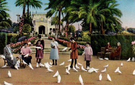 POSTAL PV03594: Sevilla. Exposicion Ibero Americana, Glorieta de las Palomas