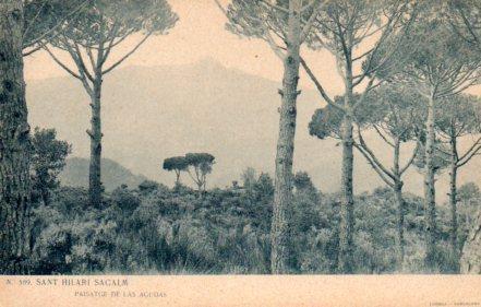 POSTAL PV03543: Paisatge de Las Agudas, Sant Hilari Sacalm