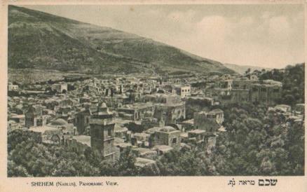 POSTAL PV04114: Shehem, Panoramic view