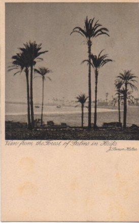 POSTAL PV04127: View from the Forest of Palms in Haifa