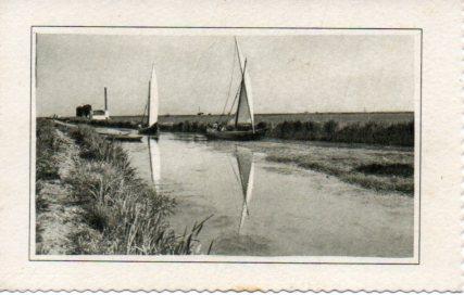 POSTAL PV04133: Canal de la Albufera, Valencia