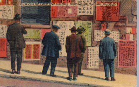POSTAL PV04038: Reading the latest bulletins, Chinatown San Francisco