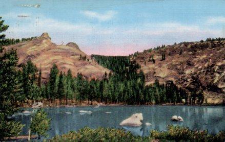 POSTAL PV04049: Sequoia National Park, California