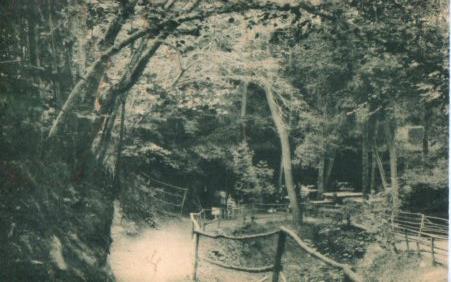POSTAL PV04228: Camino en el bosque en San Hilari Sacalm