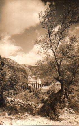 POSTAL PV04213: Alrededores de la Cartuja de Valldemosa