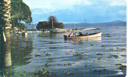 POSTAL PV04232: Vista de la Laguna de Chapala, Mexico