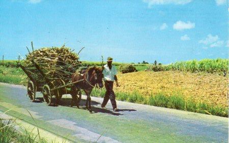POSTAL PV04255: West Indies, Barbados