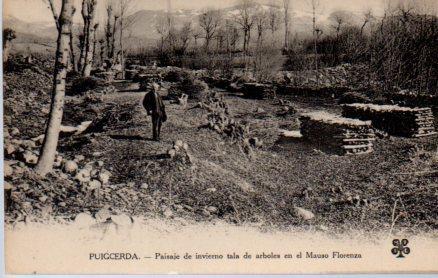 POSTAL PV04174: Tala de arboles en el Mauso Florenza, Puigcerda