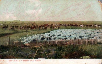 POSTAL PV03885: Remate en el campo provincia de Buenos Aires