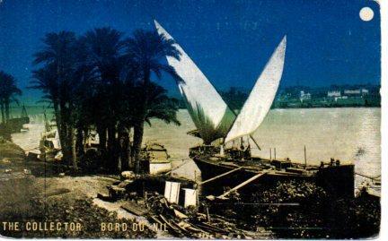POSTAL PV03833: The Collector Bord du Nil, Egypte