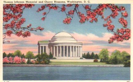POSTAL PV03849: Thomas Jefferson Memorial and Cherry Blossoms, Washington D. C.