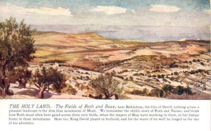 POSTAL PV03843: The Fields of Ruth and Boaz ner Bethlehem