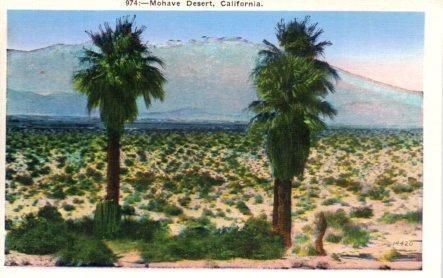 POSTAL PV04024: Mohave Desert, California