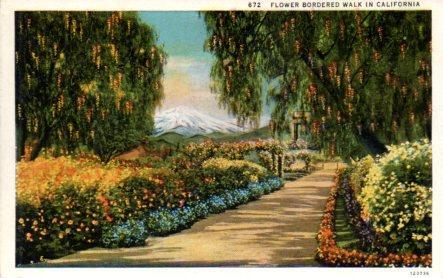 POSTAL PV04013: Flower bordered walk in California