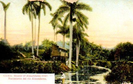 POSTAL PV03929: Nacimiento del rio Almendares, Cuba