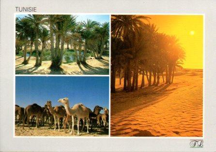 POSTAL PV04553: Views of Tunisia
