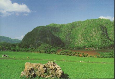 POSTAL PV04592: Valle de Viñales en Pinar del Rio. Cuba