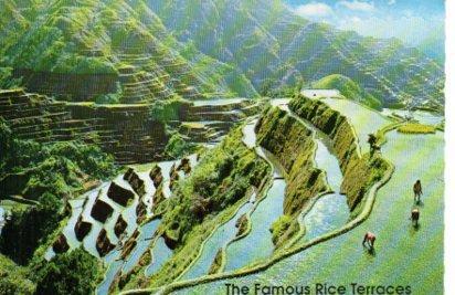 POSTAL PV04778: The Famous Rice Terraces, Manila