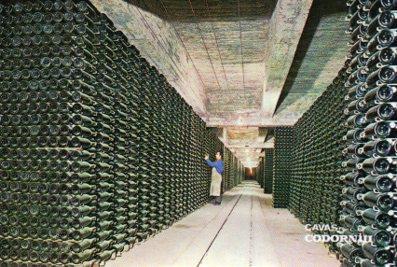 POSTAL PV04801: Publicidad Cavas Codorniu botellas envejeciendo