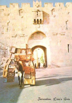 POSTAL PV04691: Lion's Gate, Jerusalem