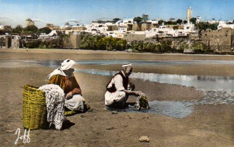 POSTAL PV04390: Le Boureghreb et vue sur les Oudaia, Rabat