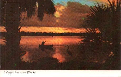 POSTAL PV04365: Florida's Tropical Shores
