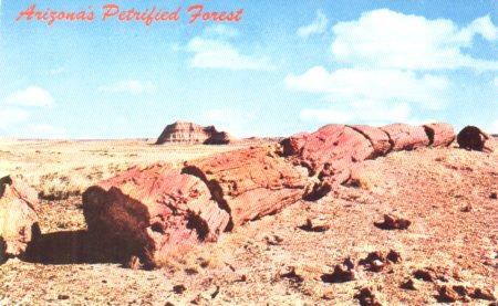 POSTAL PV04291: Petrified Forest National Monument, Arizona
