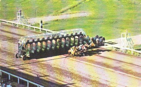 POSTAL PV04282: They're Off, Scarborough Downs, Maine