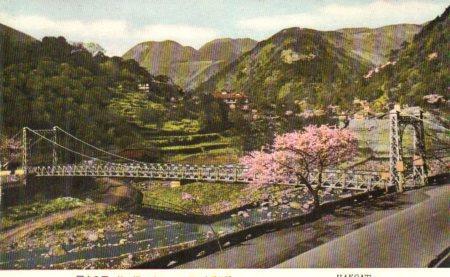 POSTAL PV04299: Hakone, Japan