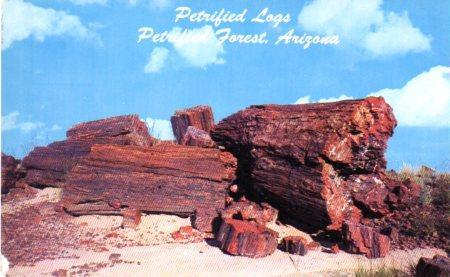 POSTAL PV04305: Petrified Logs, Arizona