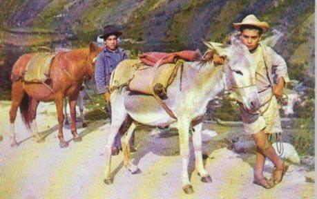 POSTAL PV04397: Muchachos nativos de los Andes Venezolanos