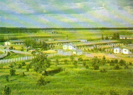 POSTAL PV04532: Plan Genetico en Valle de Picadura, La Habana. Cuba