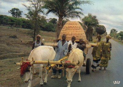 POSTAL PV05065: Rencontre sur la route, Afrique