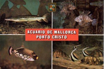 POSTAL PV04928: Acuario de Mallorca, Porto Cristo