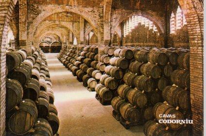 POSTAL PV04875: Publicidad Cavas Codorniu Una bodega