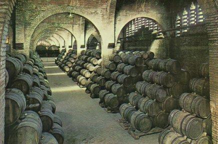 POSTAL PV04874: Publicidad Cavas Codorniu Un Celler