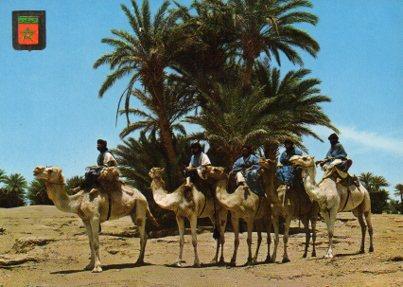 POSTAL PV05059: Caravana de Mcharista de M'Hamid, Marruecos tipico 2ª colección nº 49