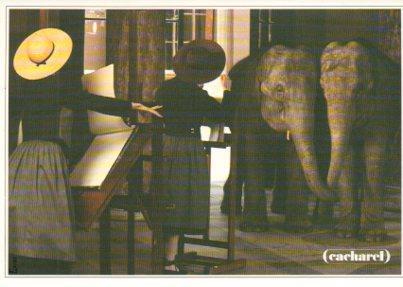 POSTAL PV05054: Publicidad Cacharel Photo Sarah Moon PU-243