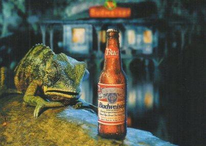 POSTAL PV05043: Publicidad Budweiser 