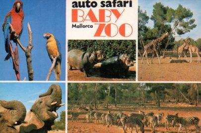 POSTAL PV04941: Auto safari Baby Zoo, Mallorca