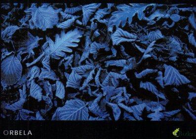 POSTAL PV04993: Publicidad Orbela Bizkaia