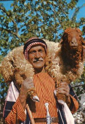 POSTAL PV05868: Shepherd, Bethleem