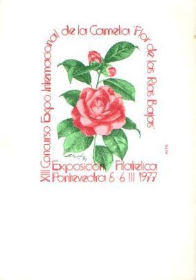 POSTAL PV05787: XIII Exposicion Filatelica en Pontevedra, Marzo 1977